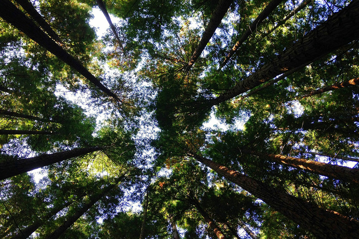 10 environmental trends to look out for in 2023